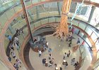 DSCN2804