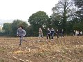 DSCF4020